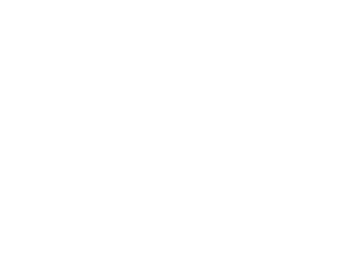 THE FIRST